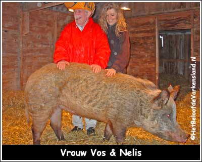 Vrouw Vos & Nelis