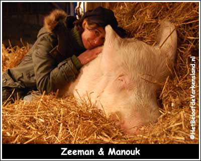 Zeeman & Manouk