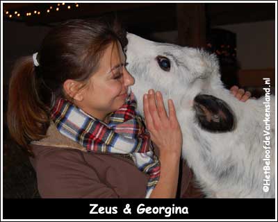 Zeus & Georgina